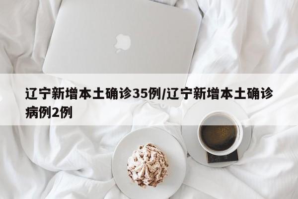辽宁新增本土确诊35例/辽宁新增本土确诊病例2例
