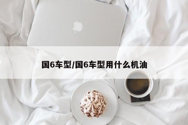 国6车型/国6车型用什么机油